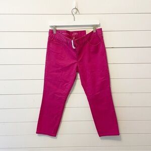 NWTs LOFT | Dark Pink Modern Cotton Blend Crop Pants Size 28/6